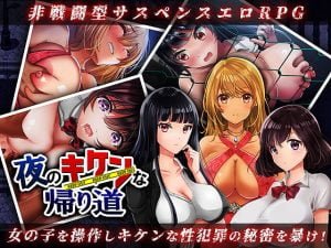 【B】夜のキケンな帰り道 -生ハメレイプで拉致監禁-【レビュー】